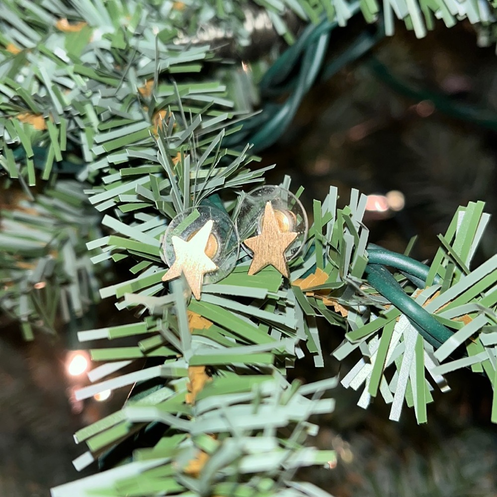 Star earrings